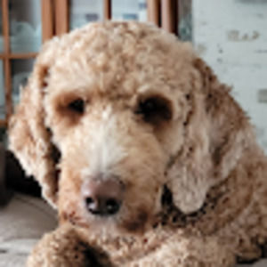 Meet your Posher, Sherry-lynn